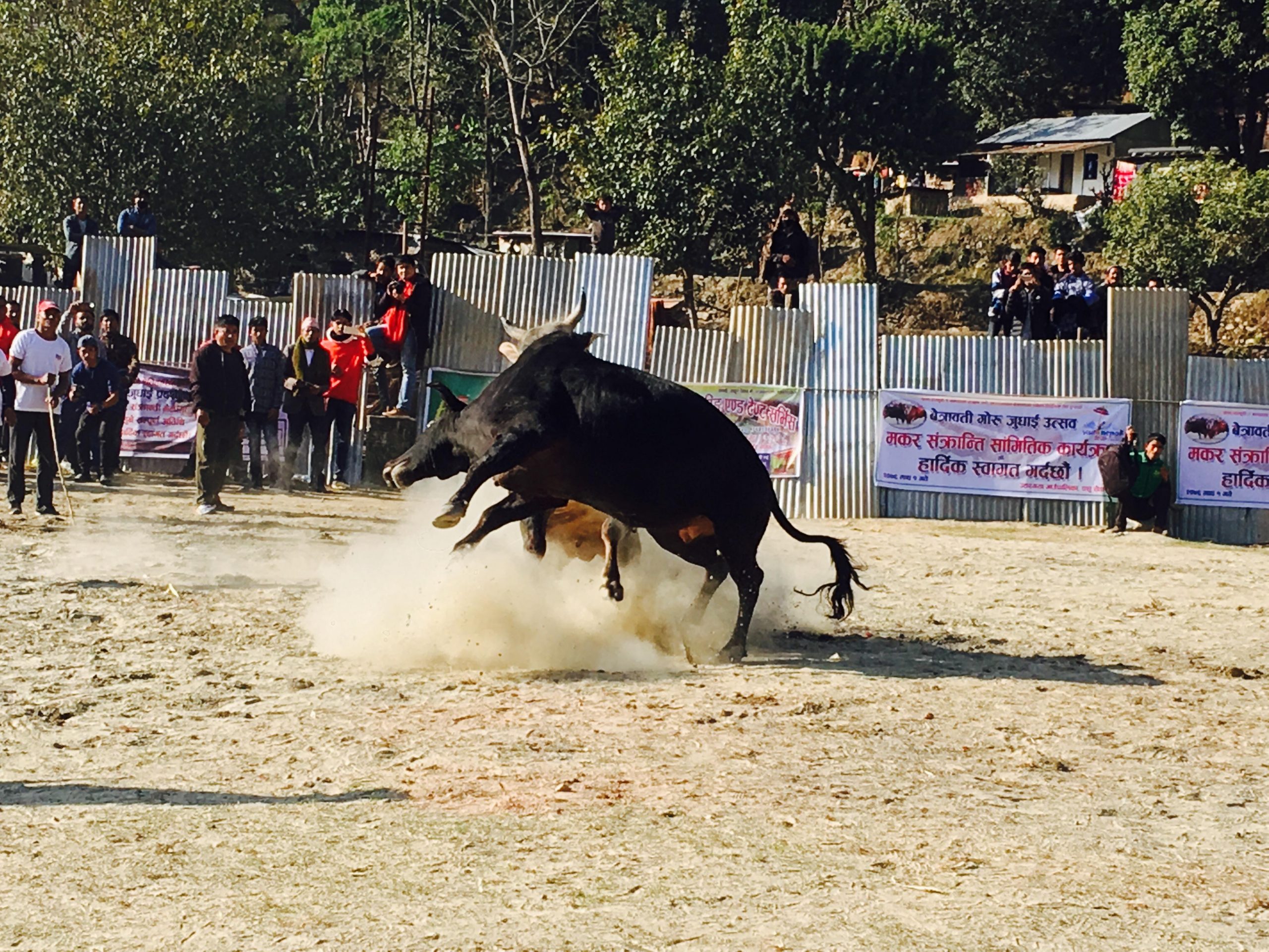 मध्यबिन्दु अनलाइन